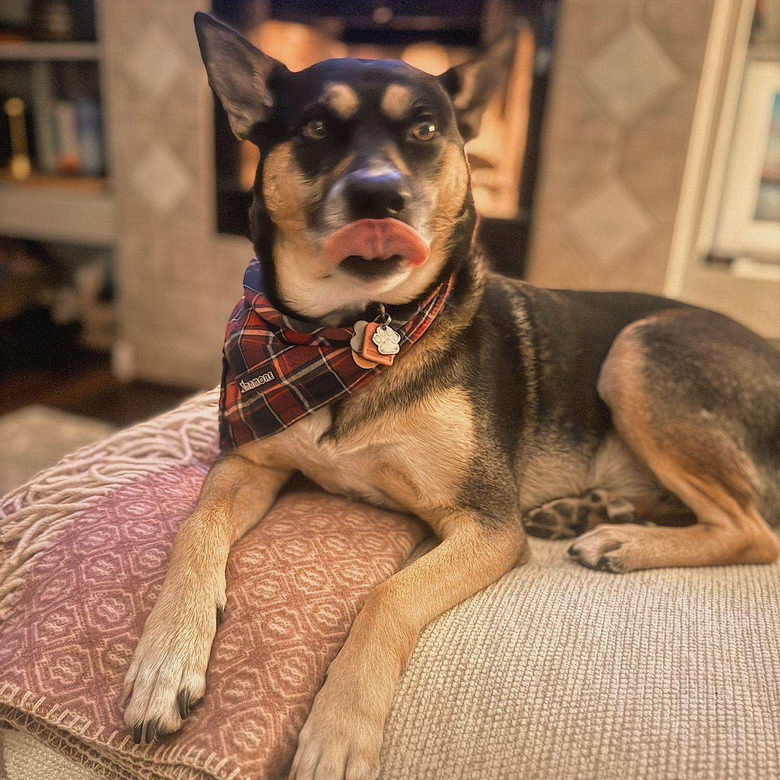 The face Felicia will make when she has to stay home