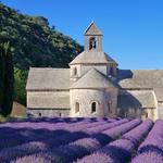 Abbaye Notre-Dame de Sénanque