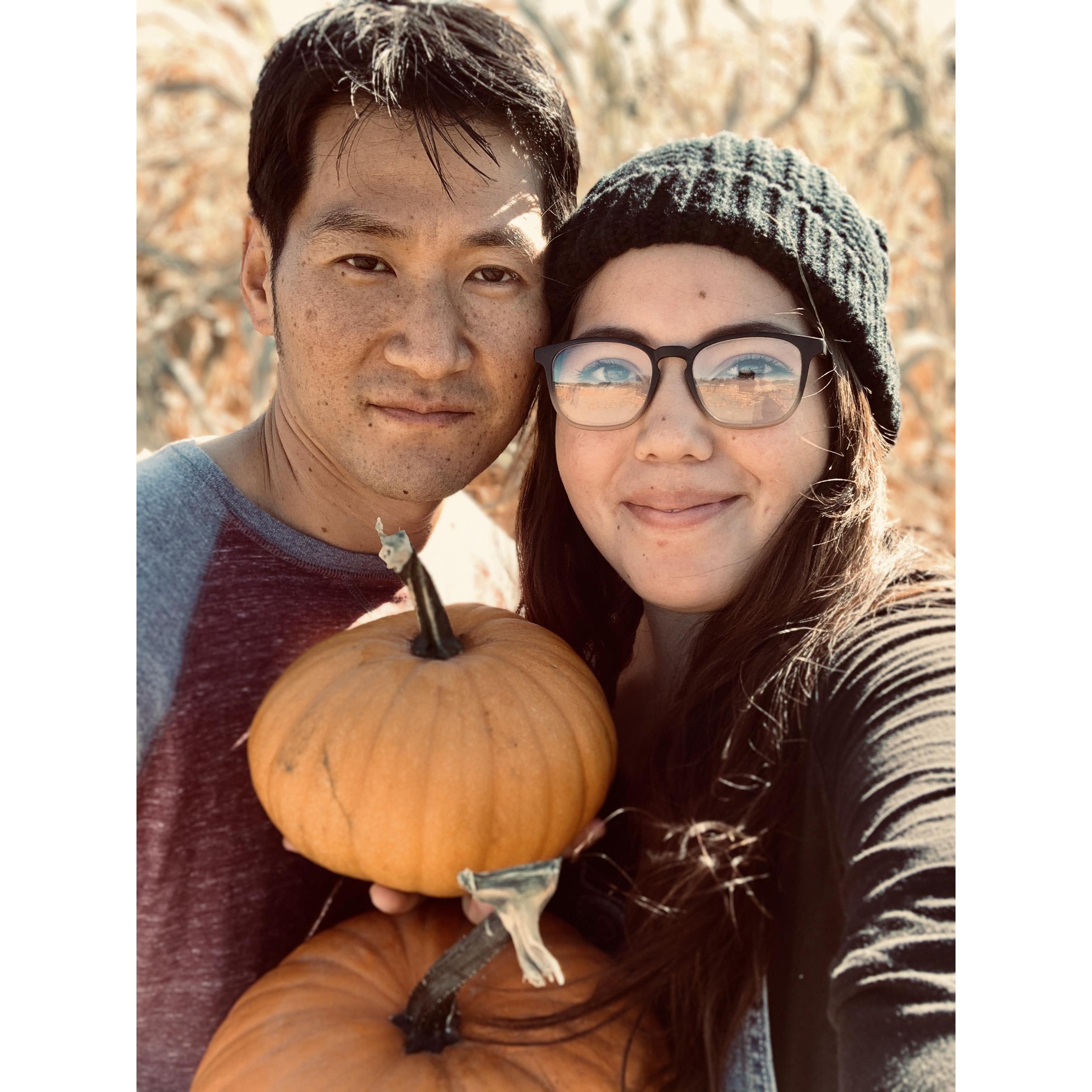 Pumpkin Patch Together! October 19th, 2020