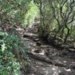 Mt. Pisgah Trailhead