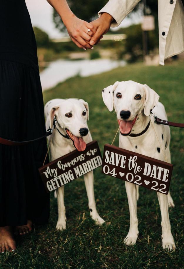 Here are our babies. Excited to finally have dad and mom become husband and wife.