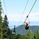 Zip Line Adventure at Schweitzer
