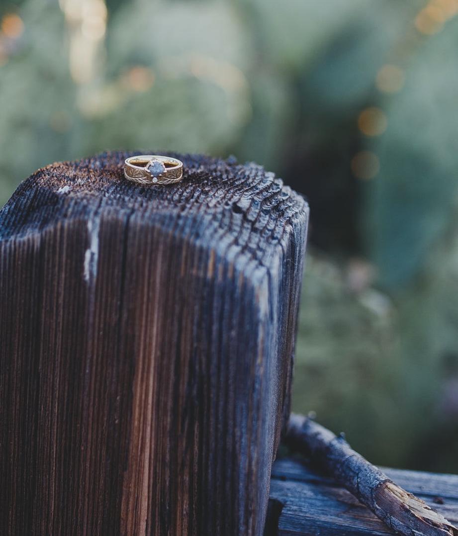 The Wedding Website of Allison Rogers and Isaac Land