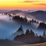 Mount Tamalpais Peak
