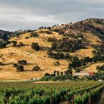 Regusci Winery