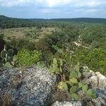 Government Canyon State Natural Area