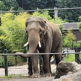 Oregon Zoo