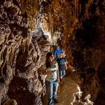 Colossal Cave Tour - 1h from Tubac