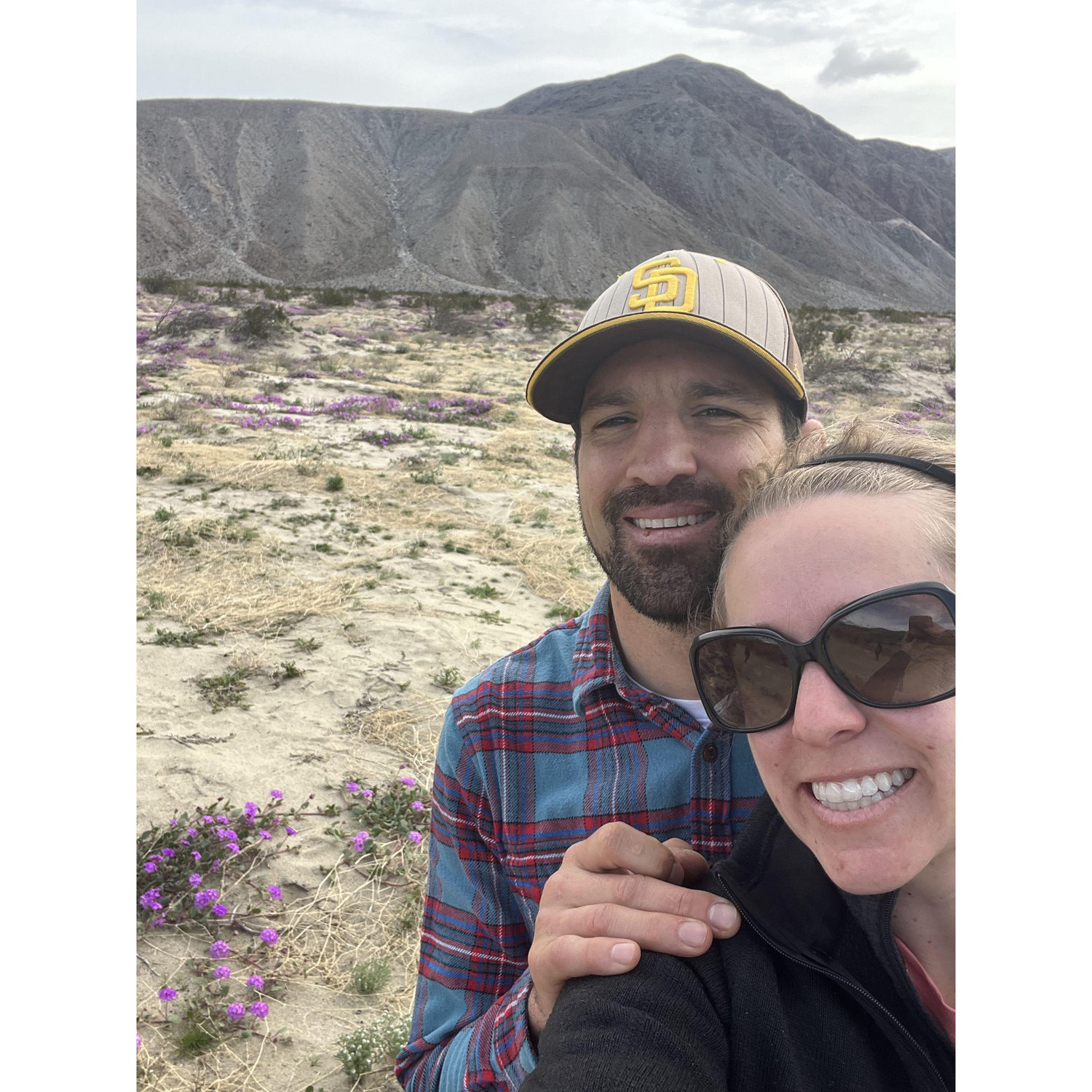 Super Bloom in Anza Borega