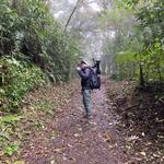 Hiking