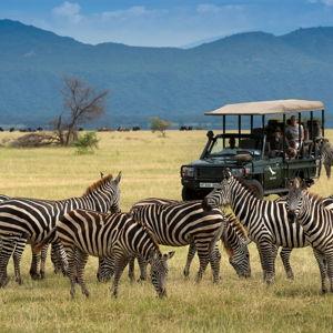 African Safari Honeymoon