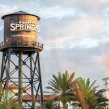 Disney Springs