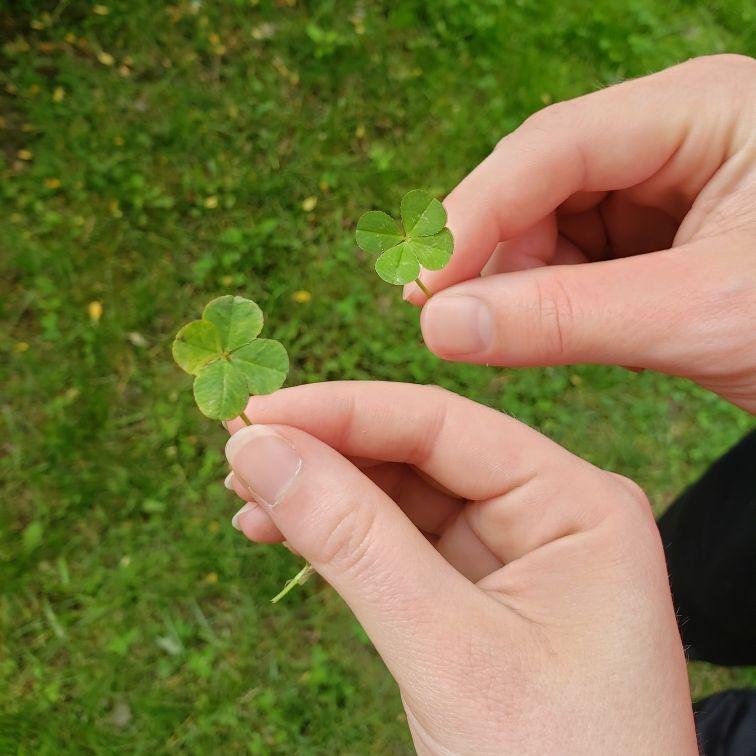 Skyler found both of these within 30 seconds - Summer 2023