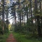 DeMeritt Hiking Trails