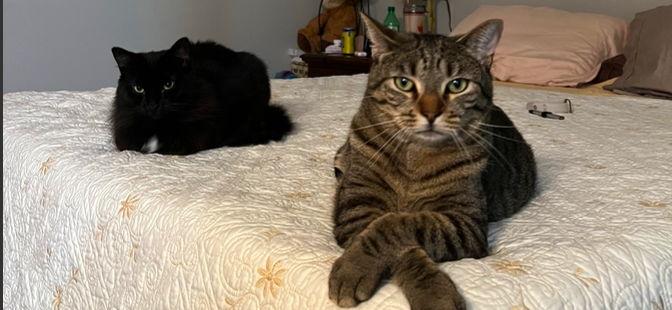 The Wedding Website of BreAnn Taylor and Sawyer Matthews