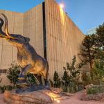 Denver Museum of Nature & Science