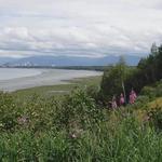 Tony Knowles Coastal Trail