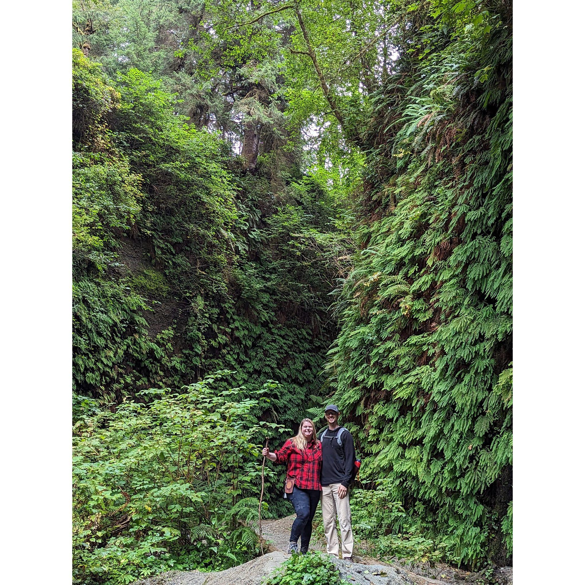 When we went to the redwoods to visit Larissa!