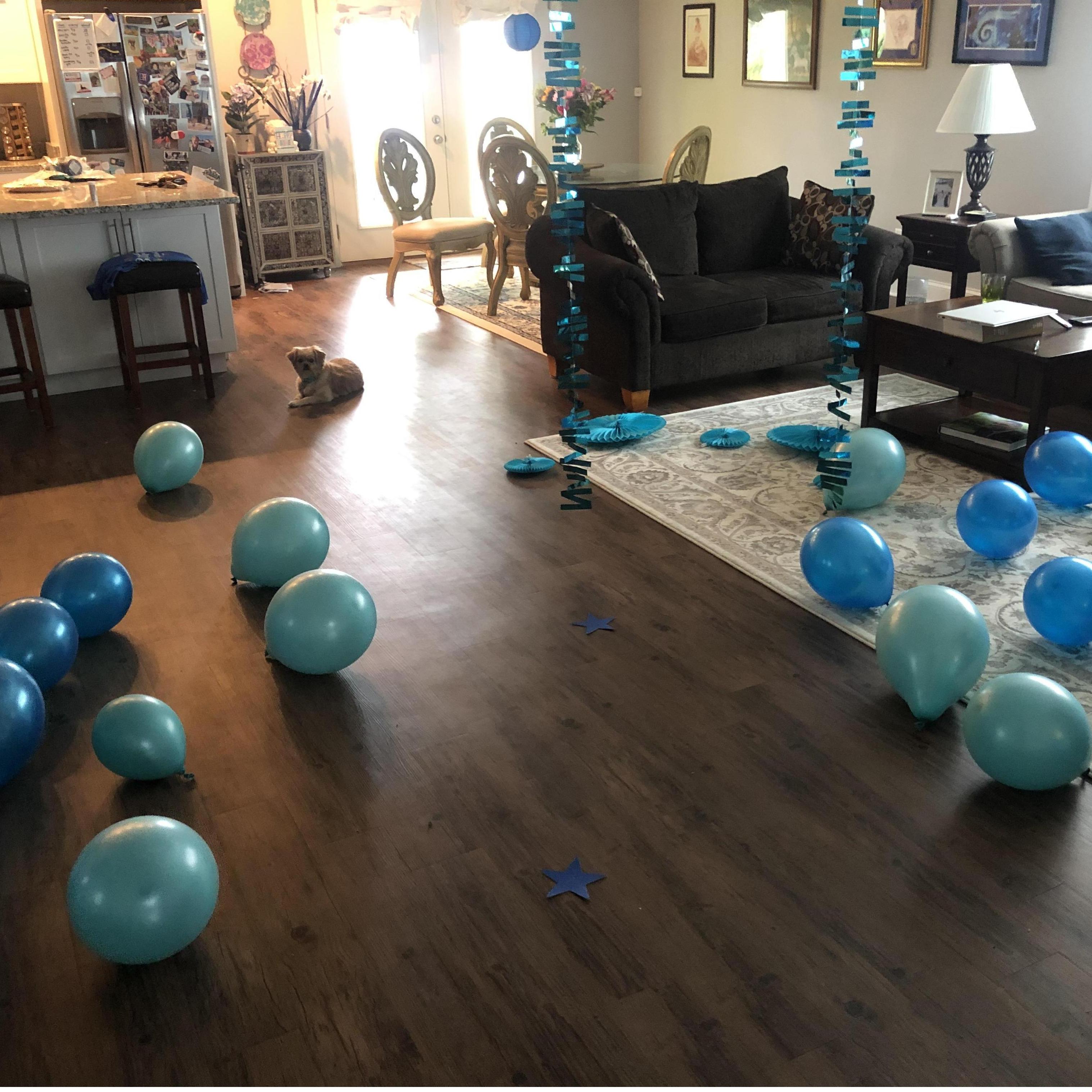 The blue room, inspired by the bower bird's courtship behaviors, was Peter's idea for the big proposal! Seems appropriate for a bird enthusiast like him, don't you think? Elsa helped set it up too.
