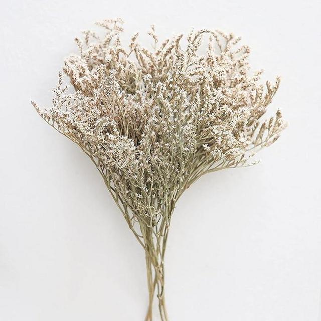 Dried German Statice