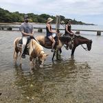 Paniolo Adventures