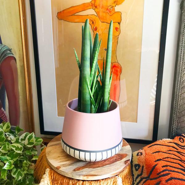 Rosa Planter