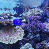 Oklahoma Aquarium