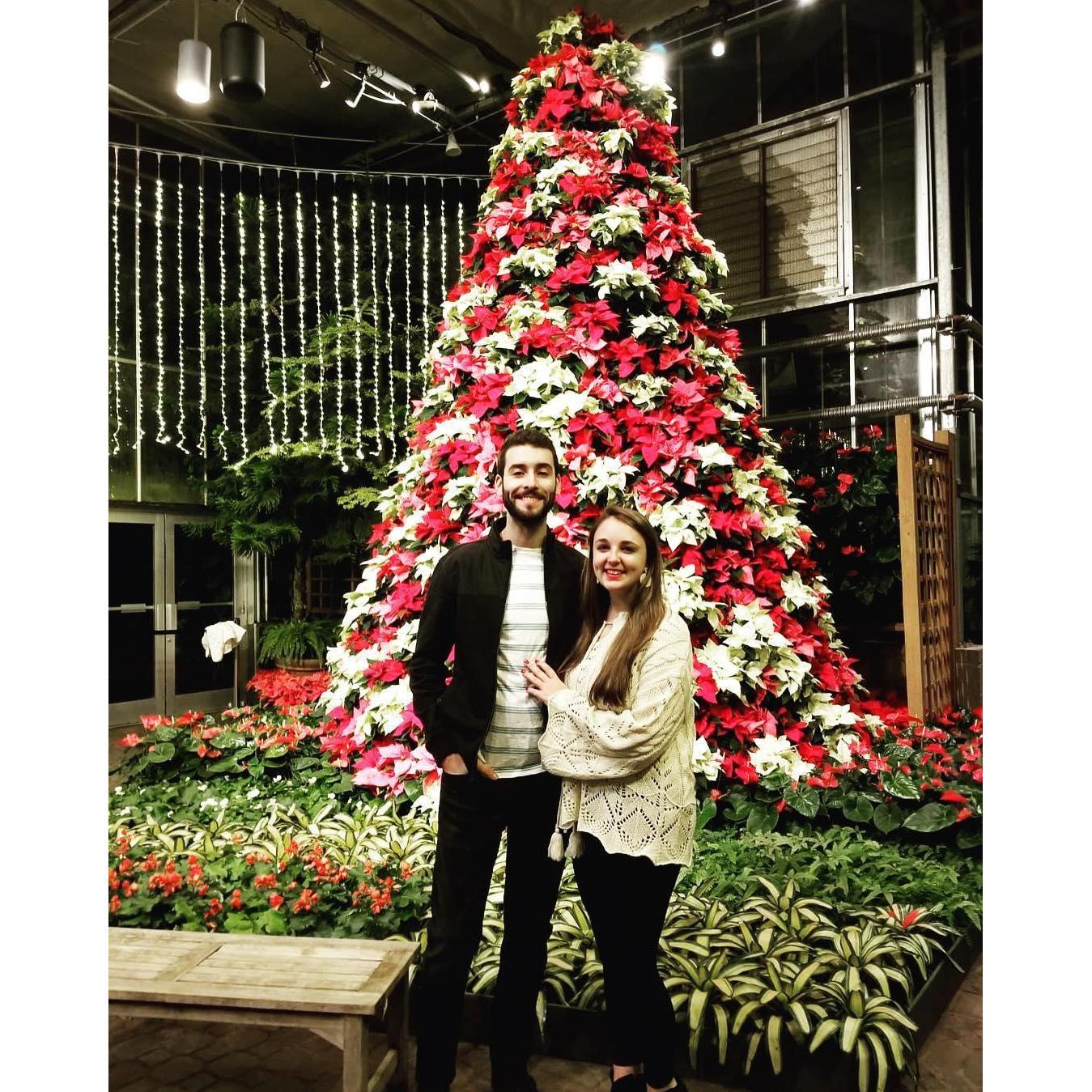 The Atlanta Botanical Gardens during the holidays are beautiful. That night when I walked away, Gui told our friends that we were with that he was planning to propose. I had no idea!