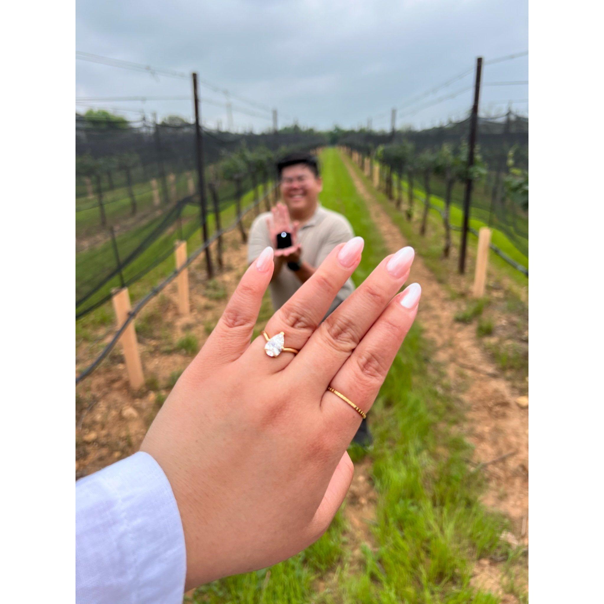 He proposed.