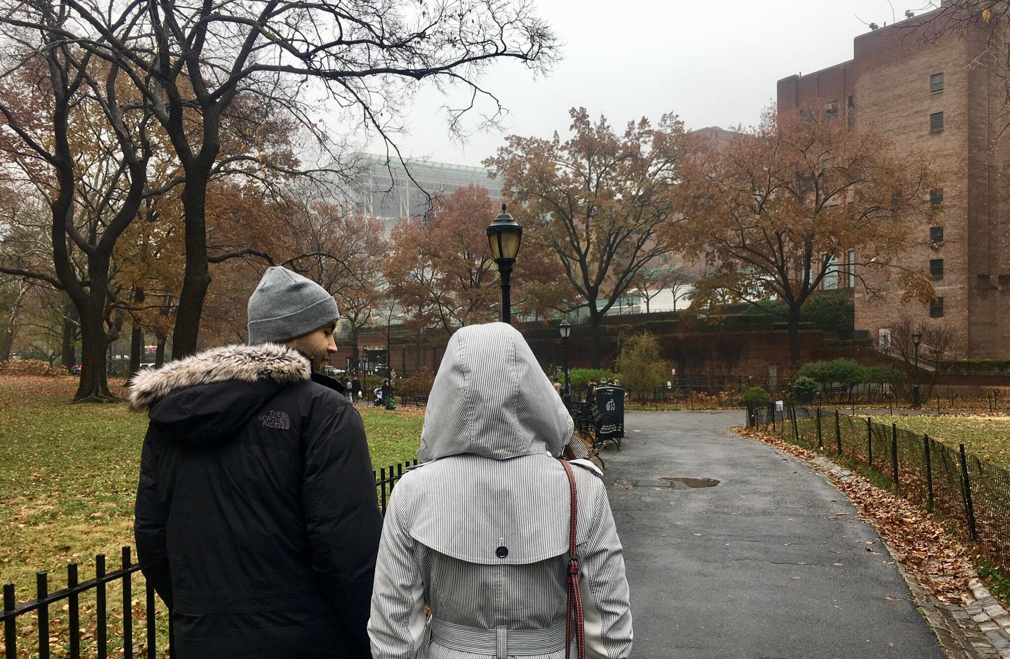 Museum of Natural History - Upper West Side NYC - December 2018