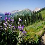 Hiking Trails