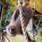 Hattiesburg Zoo