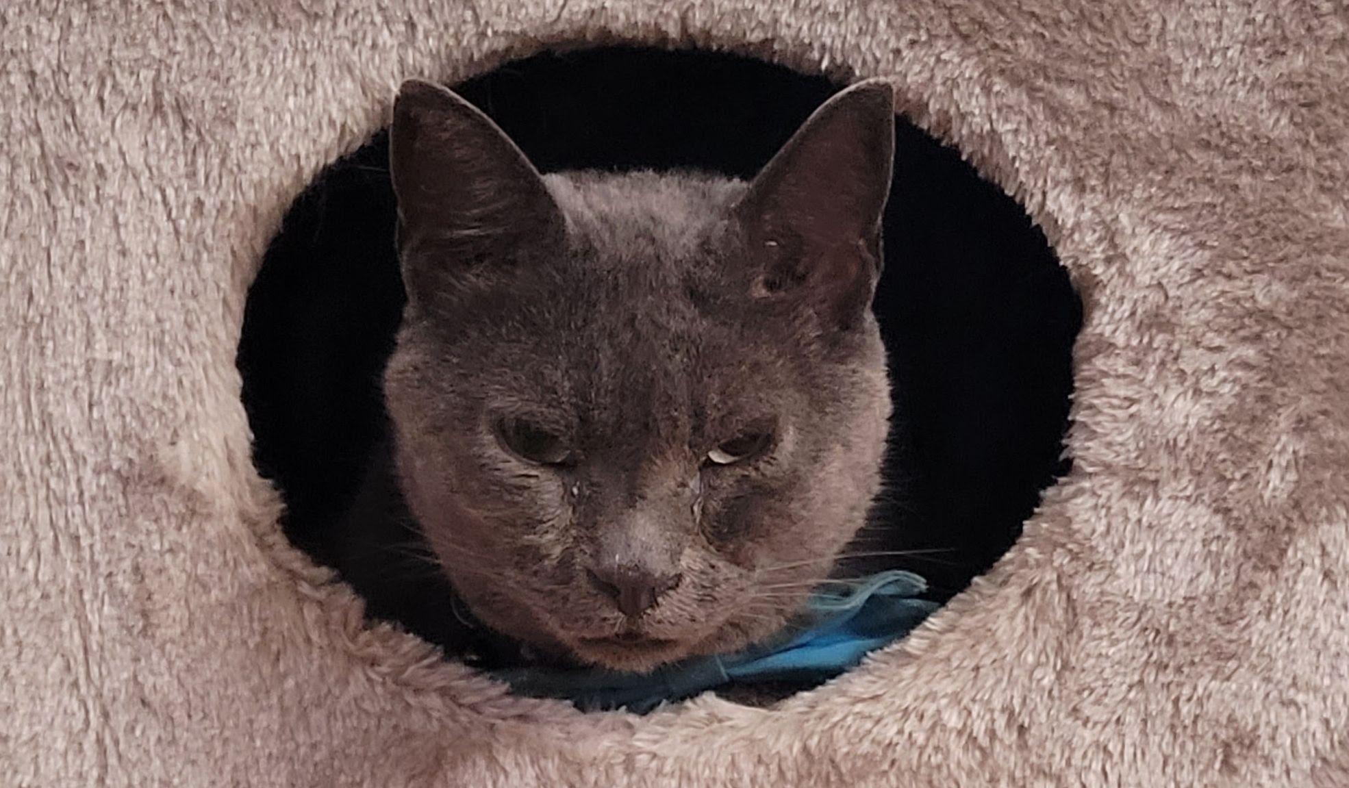 Hero Slideshow Image 3