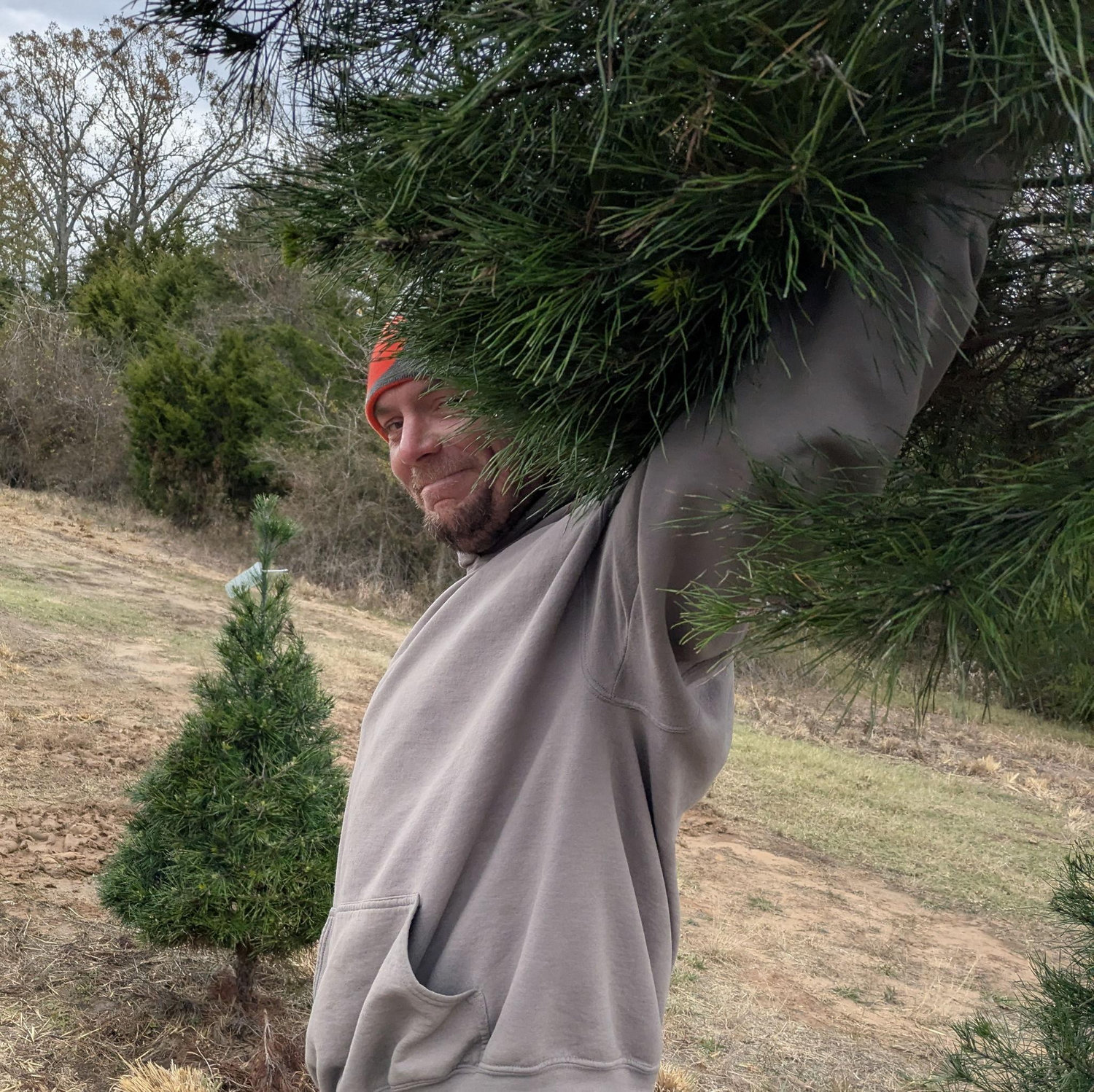 Our 1st Christmas Tree