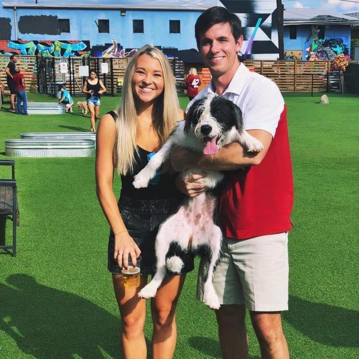 Just another Saturday at Fetch