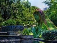 Atlanta Botanical Garden