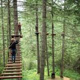 Tree To Tree Idaho Adventure Park