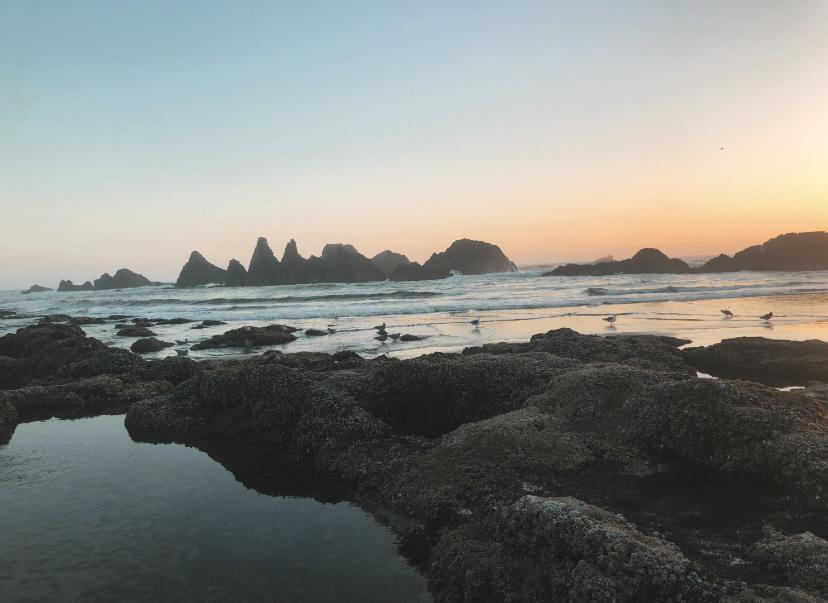 Seal Rock, Oregon Coast