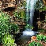 Chandor Gardens