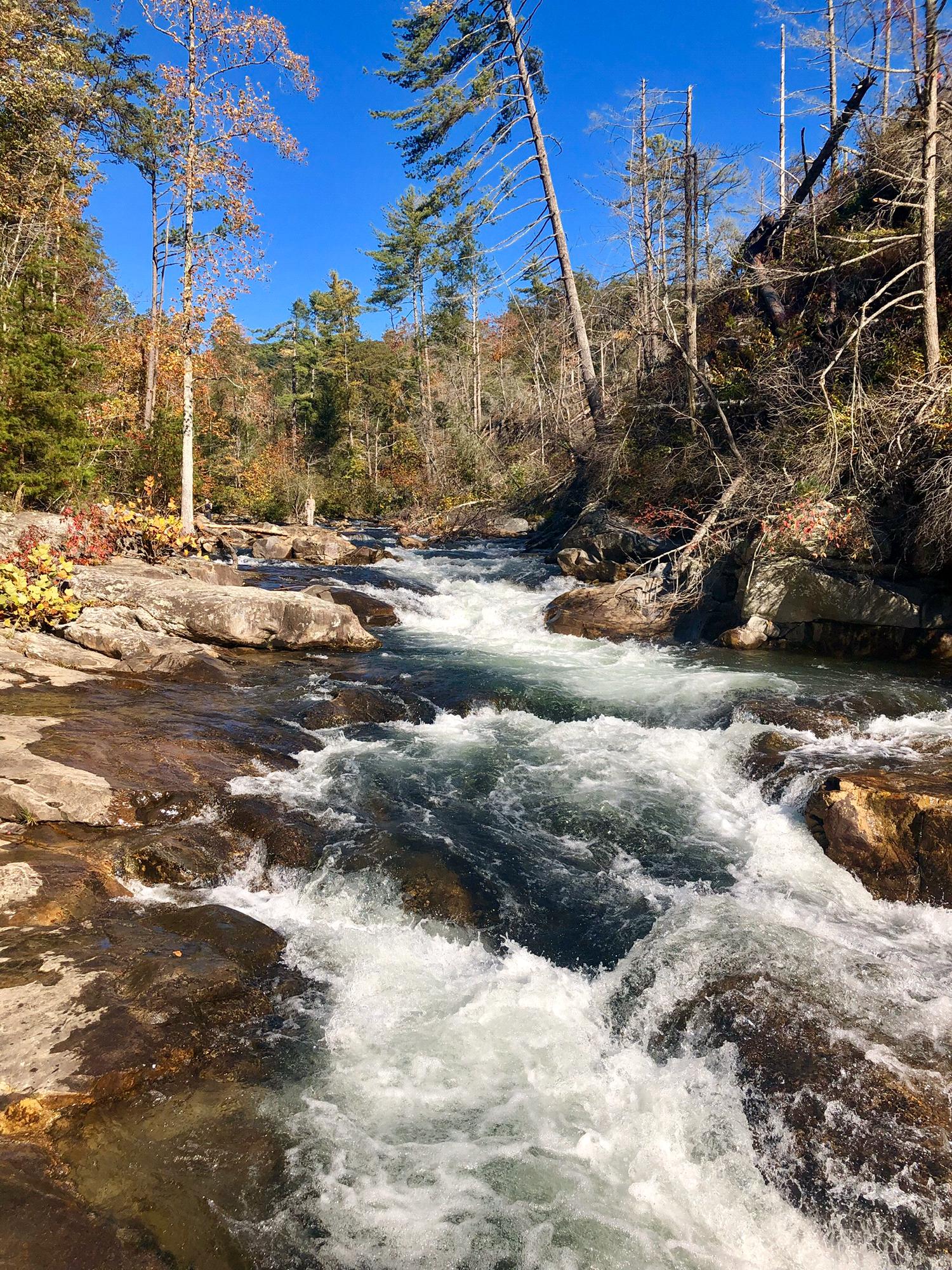 Jack’s River Trail