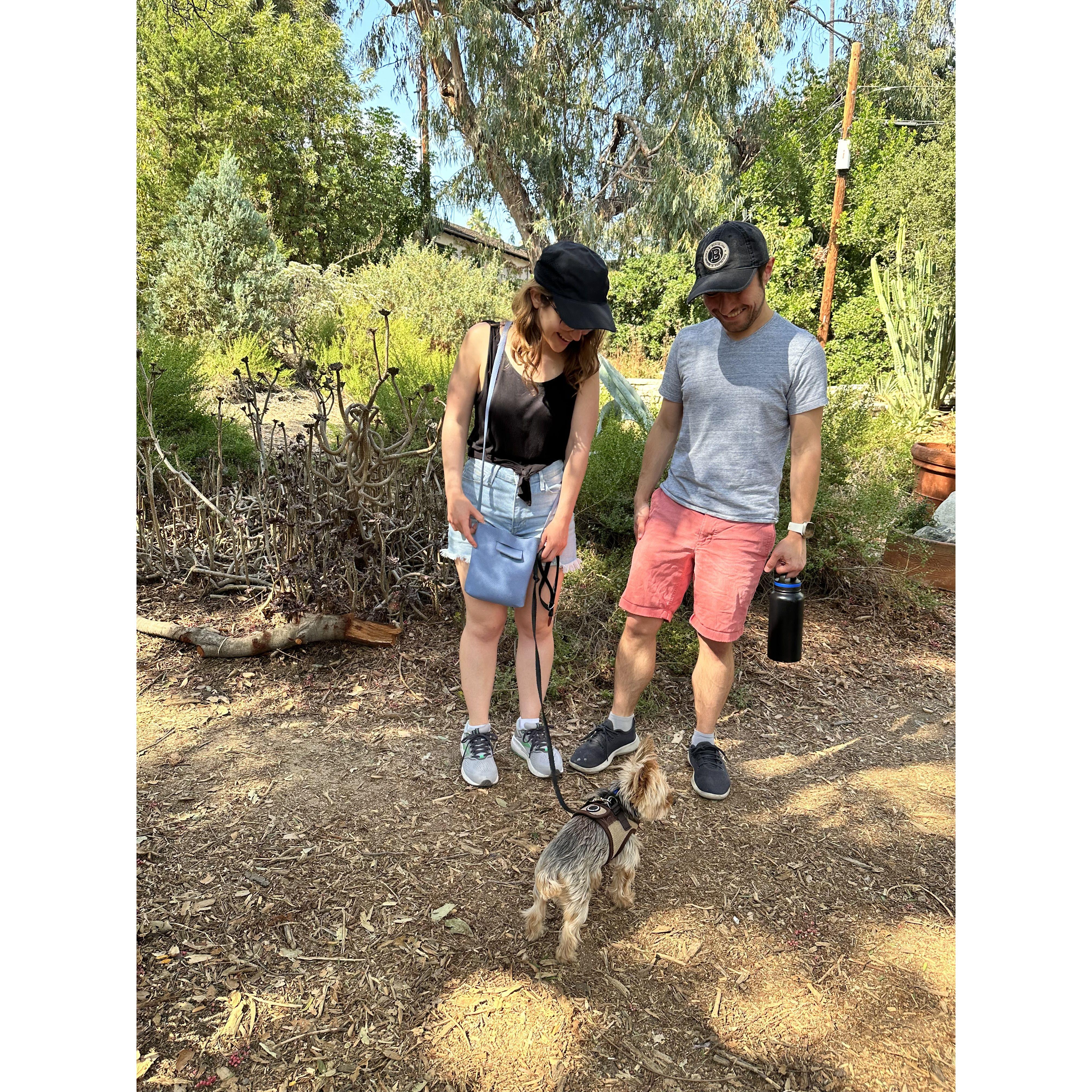 Sunday walk with Tucker!