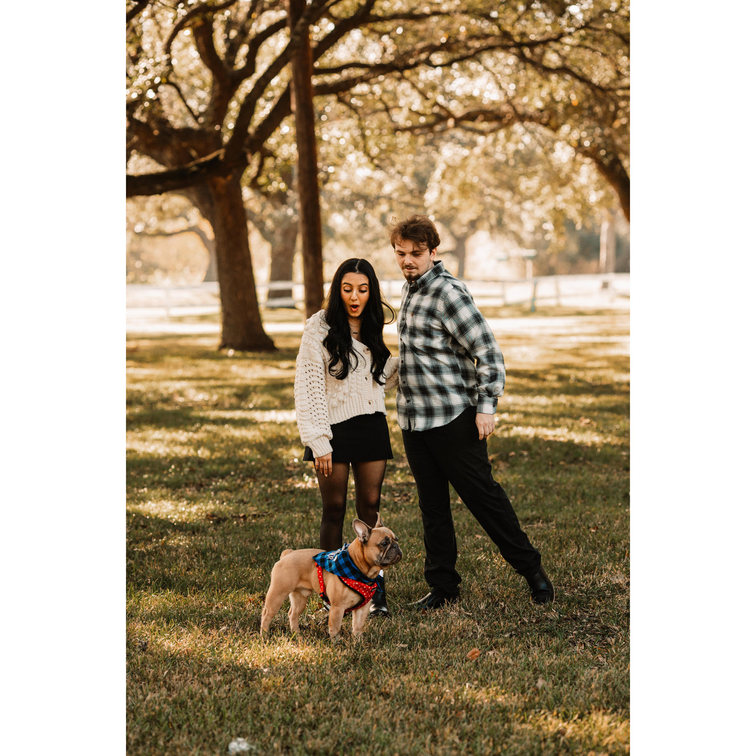 Cameron surprised me with our dog Bubby with a bandana, saying, "Will you marry my dad?" and proposing to me!
