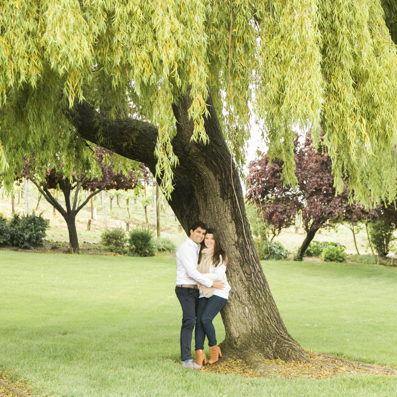 Our favorite tree!