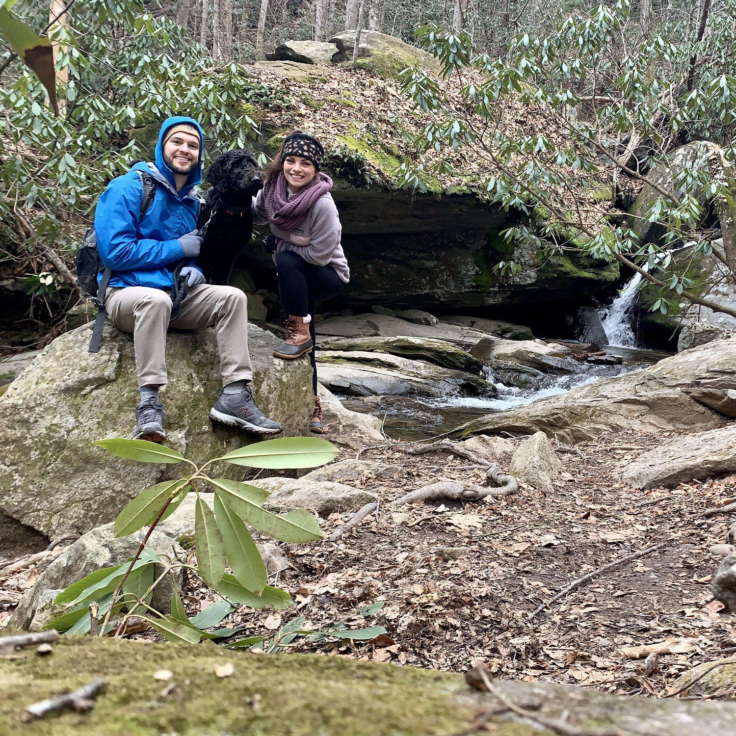 hiking with Cosmo in NC