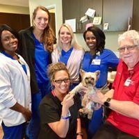 This is 4 lbs of pure love at the MUSC East facility in Mt. Pleasant. Pawlee's his name, and loving nurses is his game!