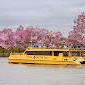 Washington's Water Taxi