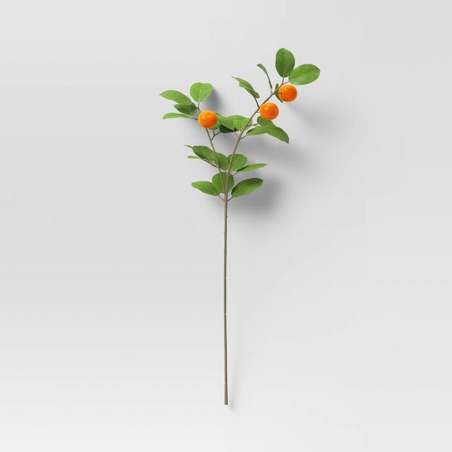 Citrus Stem - Threshold™