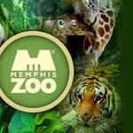 Memphis Zoo
