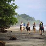 Horseback Riding Through the Jungle