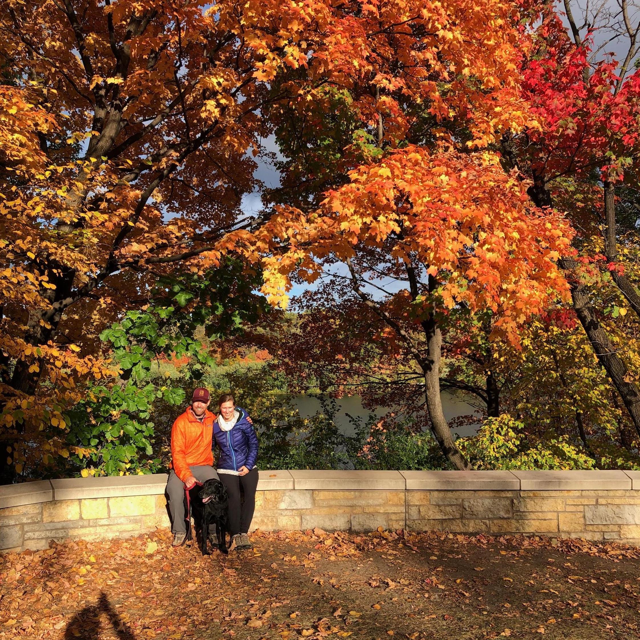 Lots of walks and talks in 2020 (and the decision to get married)